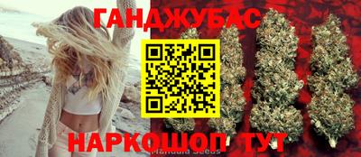 гашик Берёзовский