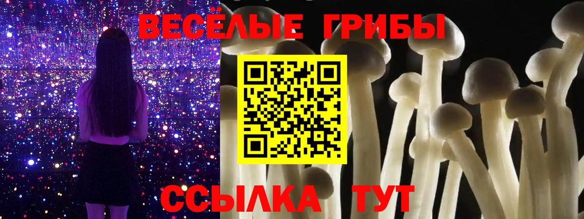 Псилоцибиновые грибы мухоморы  Старая Русса 
