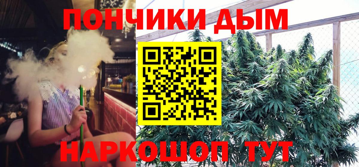 Старая Русса  Бошки марихуана сатива  Конопля VHQ  Канабис VHQ  Вход с VPN 